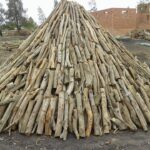 صناعة الفحم في مصر من شركة الوادي للفحم اكبر شركة فحم في مصر