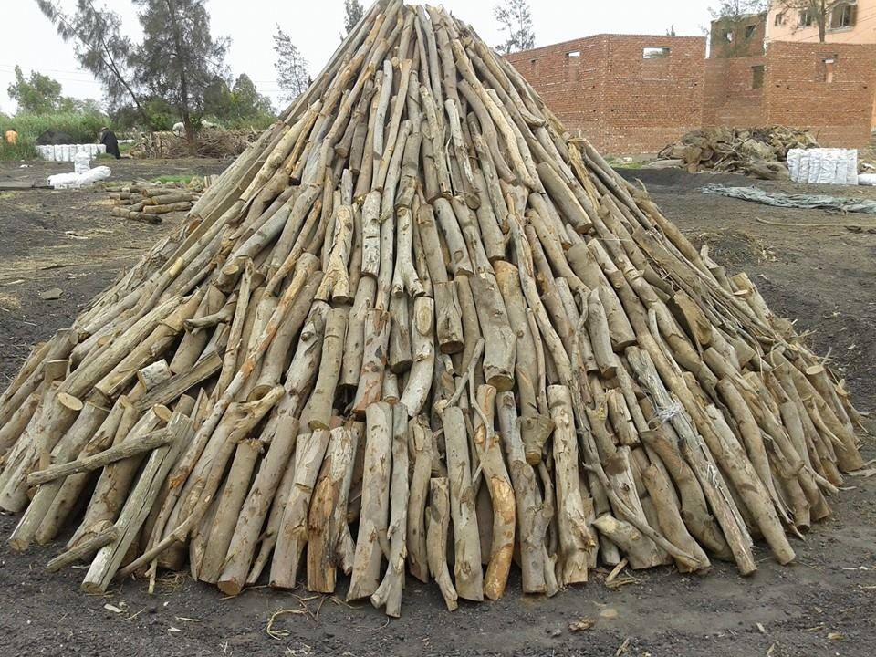 صناعة الفحم في مصر من شركة الوادي للفحم اكبر شركة فحم في مصر