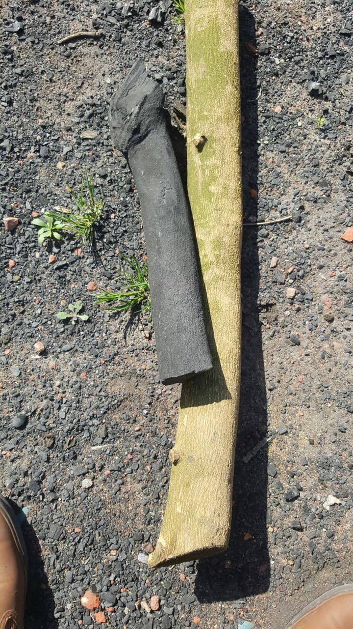 فحم برتقال مصري طبيعي 100% من إنتاج شركة فحم الوادي مخصص للتصدير