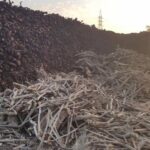 مصنع فحم طبيعي شركة فحم الوادي أكبر مصنع فحم في مصر وأفريقيا كبري شركات صناعة الفحم الطبيعي والصناعي وحطب التدفئة اسعار الفحم تنافسية