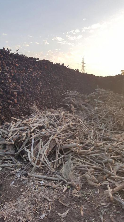 مصنع فحم طبيعي شركة فحم الوادي أكبر مصنع فحم في مصر وأفريقيا كبري شركات صناعة الفحم الطبيعي والصناعي وحطب التدفئة اسعار الفحم تنافسية