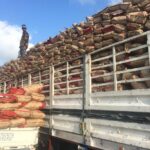 اماكن بيع الفحم بالجمله في مصر شركة الوادي للفحم أكبر شركة فحم