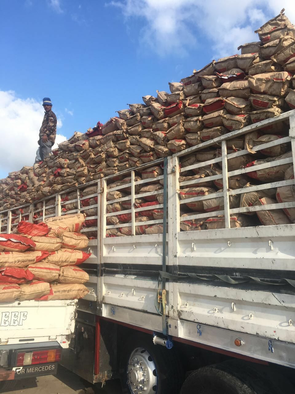 اماكن بيع الفحم بالجمله في مصر شركة الوادي للفحم أكبر شركة فحم