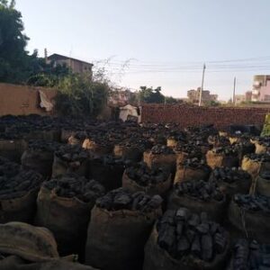 شركة فحم في السودان