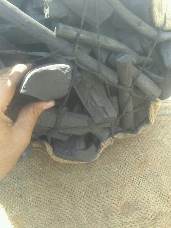 سعر طن الفحم في الصومال توفر شركة فحم الوادي الفحم الصومالي بجودة عالية بريميوم وسعر تنافسي للمستوردين وتجار الجملة اطلبة الأن