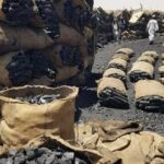 تجار الفحم الصومالي تعتبر شركة الوادي للفحم أكبر مصنع وتاجر فحم صومالي نخب أول فحم صومالي يتميز بالجودة والسعر التنافسي اطلبة الان