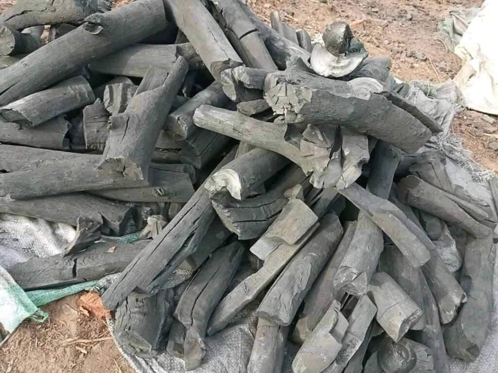 فحم المشاره