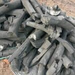 فحم المشاره الناميبي اثبت وجوده وتميزة من خلال شركة فحم الوادي لفحم المشارة نوفرة بالجودة والسعر التنافسي لجميع مستوردين فحم المشاره