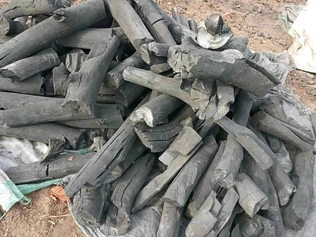 فحم المشاره الناميبي اثبت وجوده وتميزة من خلال شركة فحم الوادي لفحم المشارة نوفرة بالجودة والسعر التنافسي لجميع مستوردين فحم المشاره