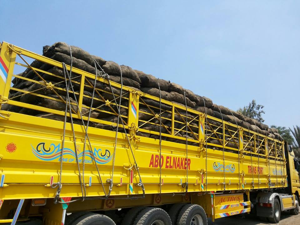 فحم كودا صومالي من انتاج شركة فحم الوادي للفحم الطبيعي والصناعي فحم كدا صومالي يمتاز بالجودة والسعر التنافسي فحم كودا اطلبة الأن