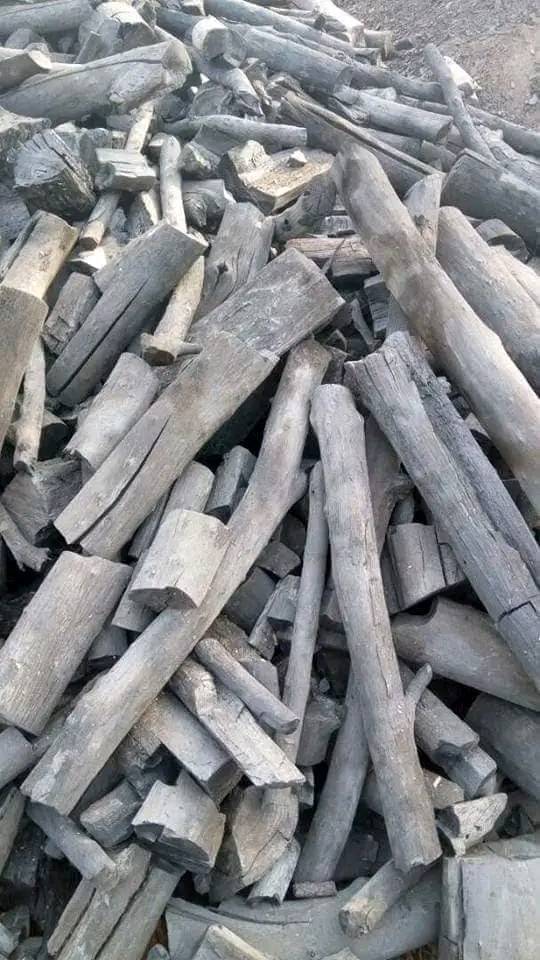 مصنع و مورد فحم اندونيسي بالجملة مصنع الوادي للفحم الأندونيسي يوفر جميع انواع الفحم الاندونيسي بالجملة اسعار تنافسية للجميع