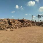 حطب القرض الافريقي من شركة الوادي للحطب والفحم أكبر شركة حطب في الشرق الأوسط وافريقيا حطب قرض حطب سمر حطب افريقي شبه نار حطب البر حطب تدفئة