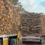 حطب افريقي تقدم شركة فحم الوادي حطب تدفئة عالي الجودة حطب قرض افريقي حطب سنط احمر حطب سمر جميع أنواع الحطب ب اسعار تنافسية