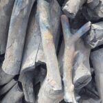 فحم حمضيات اكبر شركة لتصنيع فحم الحمضيات ب اسعار تنافسية