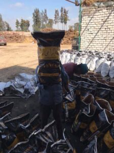 شركة الفحم رقم 1