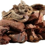 تصدير الحطب الأفريقي من شركة الوادي للحطب الأفريقي أكبر شركة تملك ترخيص التحطيب في الغاباتة المرخصة للتحطيب نوفر جميع أنواع الحطب الأفريقي