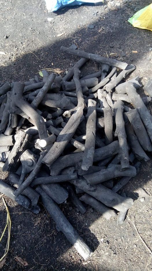 تصدير الفحم المصري 2026، أسعار الفحم بالجملة، استيراد فحم من مصر، سعر طن الفحم 2026، موردين فحم موثوقين، شحن الفحم الدولي، فحم مغربل ومفرز، شركات تصدير الفحم للخليج، شركات فحم في أوروبا، تجارة الفحم العالمية، فحص SGS للفحم المصري، أرخص سعر طن فحم في مصر