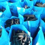 فحم نيجيري، فحم أيين نيجيري، استيراد الفحم من نيجيريا، فحم نيجيري للمشاوي، سعر طن الفحم النيجيري، موردين فحم نيجيري، شركة الوادي للفحم النيجيري