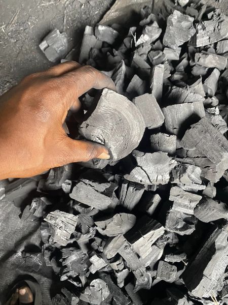 أسعار الفحم النيجيري 2026 الأين، الطلح، والقرض اكتشف لماذا تتصدر شركة الوادي سوق تصدير الفحم من نيجيريا وأفضل عروض أسعار طن الفحم لهذا العام