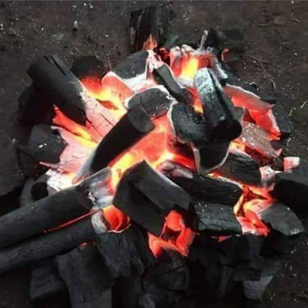 فحم مشاوي سوداني، فحم طلح للمشاوي، استيراد فحم من السودان، فحم طبيعي للمطاعم، سعر طن فحم المشاوي، فحم نباتي سوداني، شركة الوادي للفحم