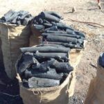 سعر طن فحم الطلح، أسعار الفحم السوداني 2026، استيراد فحم الطلح، فحم طلح بالجملة، فحم مشاوي سوداني، تكلفة تصدير الفحم، فحم نباتي أصلي