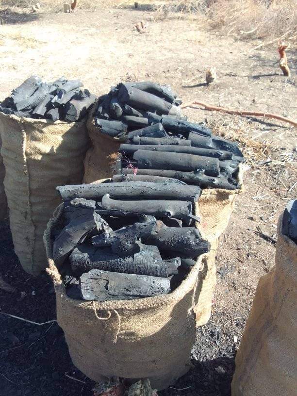 سعر طن فحم الطلح، أسعار الفحم السوداني 2026، استيراد فحم الطلح، فحم طلح بالجملة، فحم مشاوي سوداني، تكلفة تصدير الفحم، فحم نباتي أصلي